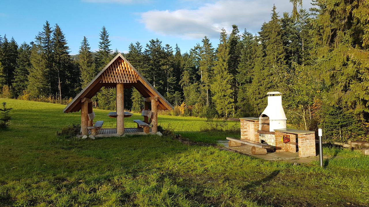 Кватэра STALOWY 02